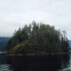 Jug Island Beach photo