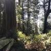 Lighthouse Park photo