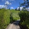 Campbell Valley Regional Park photo