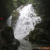 Big Cedar and Kennedy Falls Trail photo