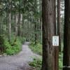 Big Cedar and Kennedy Falls Trail photo