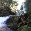 Woodland Walk Trail photo