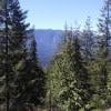 Woodland Walk Trail photo