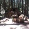 Woodland Walk Trail photo