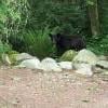 Crystal Falls photo