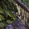 Tunnel Bluffs photo
