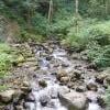 Sumas Mountain photo