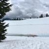 Elfin Lakes photo