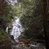 Big Cedar and Kennedy Falls Trail photo