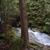 Big Cedar and Kennedy Falls Trail photo