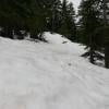 Dog Mountain photo