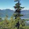 Petgill Lake photo