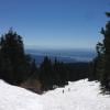 Hollyburn Mountain photo