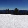 Hollyburn Mountain photo