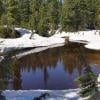 Dog Mountain photo