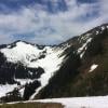 Mount Cheam photo