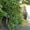 Tunnel Bluffs photo