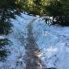 Dog Mountain photo