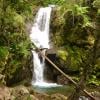 Bosumarne Falls photo