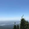 Dog Mountain photo