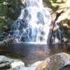 Woodland Walk Trail photo