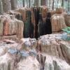 Woodland Walk Trail photo