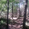 Smoke Bluffs Park photo