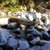 Norvan Falls photo
