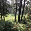 Mystery Lake photo