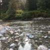 Gold Creek Falls photo