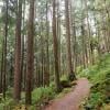 Buntzen Lake photo