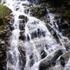 Big Cedar and Kennedy Falls Trail photo