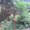 Woodland Walk Trail photo