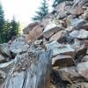 Eagle Bluffs photo