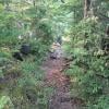 Crater Rim Trail photo