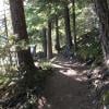 Cheakamus Lake photo