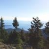 Hollyburn Mountain photo