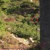 Mystery Lake photo