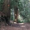 Cypress Falls photo