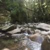 Cypress Falls photo