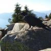 Eagle Bluffs photo