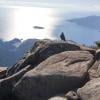 Eagle Bluffs photo