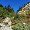Mount Seymour photo