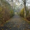 Deas Island Regional Park photo