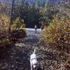 Golden Ears Canyon Loop photo
