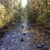 Kanaka Creek Cliff Falls photo