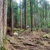 Cypress Falls photo