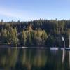 Jug Island Beach photo