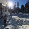 Dog Mountain photo