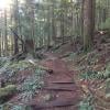 Big Cedar and Kennedy Falls Trail photo